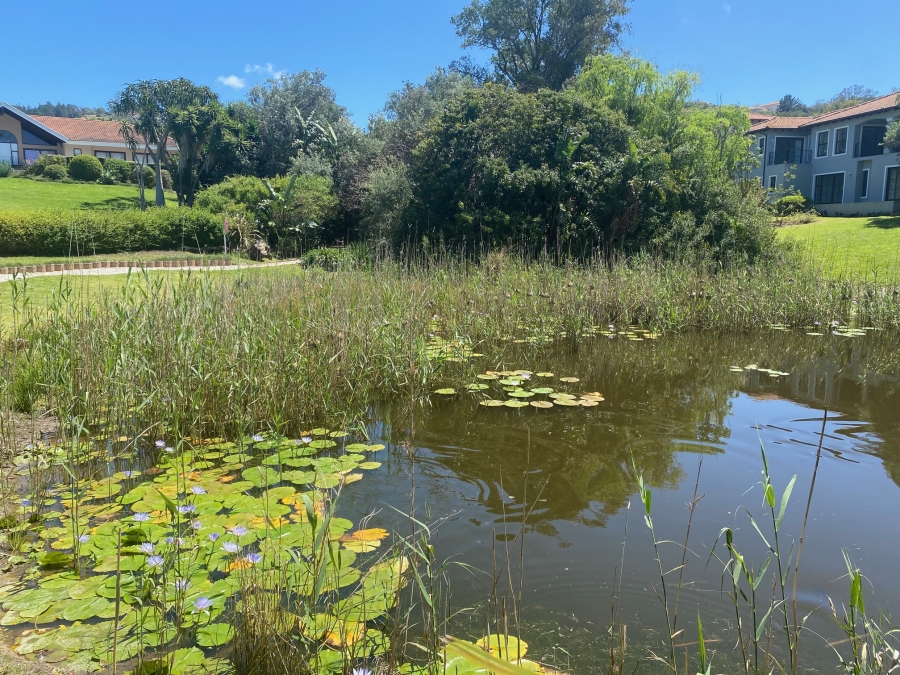 0 Bedroom Property for Sale in Schoongezicht Western Cape